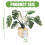 Needle Felting Supplies with Instruction for Beginner Monstera 3