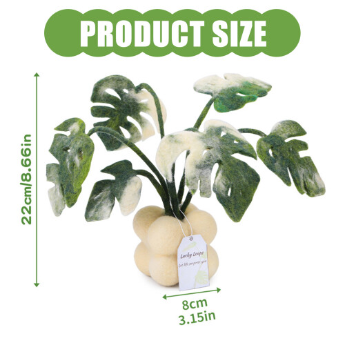 Needle Felting Supplies with Instruction for Beginner Monstera 2