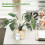 Needle Felting Supplies with Instruction for Beginner Monstera 5