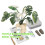 Needle Felting Supplies with Instruction for Beginner Monstera 7