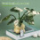 Needle Felting Supplies with Instruction for Beginner Monstera 4