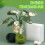 Needle Felting Supplies with Instruction for Beginner Monstera 2
