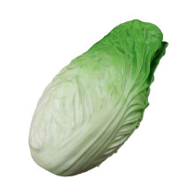 Artificial Chinese Cabbage Educational Chinese Cabbage-Green