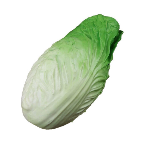 Artificial Chinese Cabbage Educational Chinese Cabbage-Green