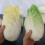 Artificial Chinese Cabbage Educational Chinese Cabbage-Green 7