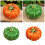 Realistic Artificial Pumpkins Simulation Pumpkins-Yellow 3