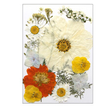 Natural Dry Flowers Leaves for Soap Candle Jewelry-H style