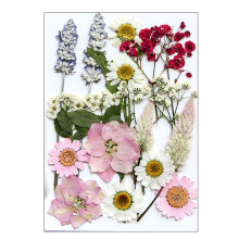 Dried Pressed Flower for Resin Molds Natural Dry Flower-G style