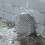 Stainless Steel Gutter Guard Przed Liśćmi Do Odprowadzania 4