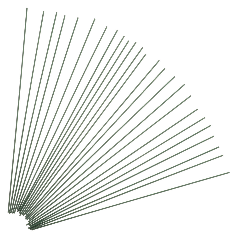 100 Sztuk 30 Cm Sztuczny PrzewóD Z ŻElaza Na Kwiaty Trzony RośLinne-image