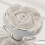 Σετ λαβών ντουλαπιού Vintage Rose Κομψές λαβές συρταριού Ρετρό υλικό επίπλων 8
