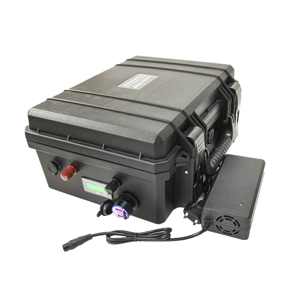 Versatile Lh Lifepo4 Lithium Battery With Bms - Available In 60Ah To 200Ah For Fish Boats And Vehicles, Includes 10A Charger 313111659655
