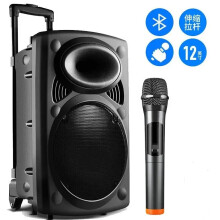 150W Outdoor Bluetooth Karaoke Speaker with High-Quality Bass, Microphone & Remote Control