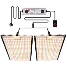 Enfun 240W Full Spectrum Quantum LED Grow Light Board with LM301B Sunlight and Meanwell Driver - I Phytolamp for Plant Growth and Flowering