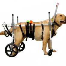 TT Pet Wheelchair: Full Body Support Stroller for Elderly or Disabled Large Dogs