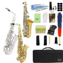 Slade E-Flat Alto Saxophone - Gold & Silver Finish with Brass Body, Carved Design, White Shell Buttons, Complete with Case, Strap, and Gloves