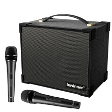 Portable Bluetooth Karaoke Machine with Dual Wireless Microphones - 60W Speaker for Kids & Adults