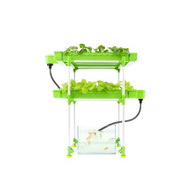 Outdoor Aquaponic Fish Farming Rotary Filter System - Large Family Set