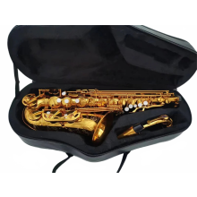 Premium E Flat Alto Saxophone with Case & Accessories - Professional Quality Music Instrument