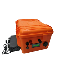 36V 100Ah LiFePO4 Lithium Battery with BMS & Wheel Trolley Case for 4300W/3500W Scooter, Bike, Boat - Includes 10A Charger