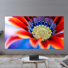 Ultra Narrow Bezel Black Diamond ALR Projector Screen - Ambient Light Rejecting, 4K/8K HD, Fixed Frame (2024 Model)