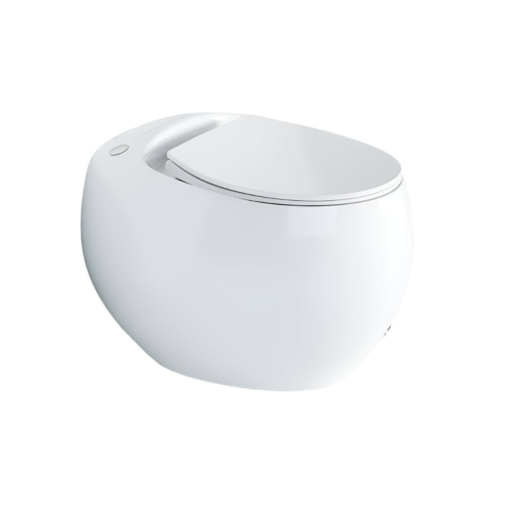 Smart Ceramic Foot Toilet With Automatic Flush And Intelligent Features 313041082073