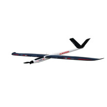 Esky 2600mm Albatross EPO RC Electric Glider - Oversized Adult Walker PNP Model