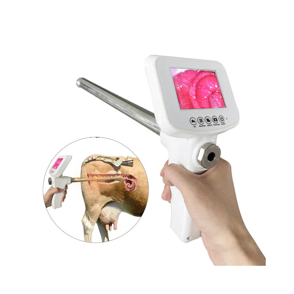 Premium Veterinary Endoscope Kit for Professional Cow Artificial Insemination