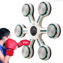 Smart Rhythm Boxing Wall Target for MMA, Karate, and Home Gym Training