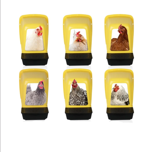 Heavy Duty 6-Compartment Chicken Nesting Boxes for Laying Eggs