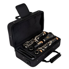 Premium 450 Clarinet - 17-Key B Flat Bakelite Woodwind Instrument, Made in Japan