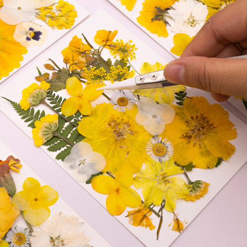 1pc Dried Flower Craft Pack Versatile DIY Decors Accent For-F 2