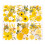 1pc Dried Flower Craft Pack Versatile DIY Decors Accent For-F 2