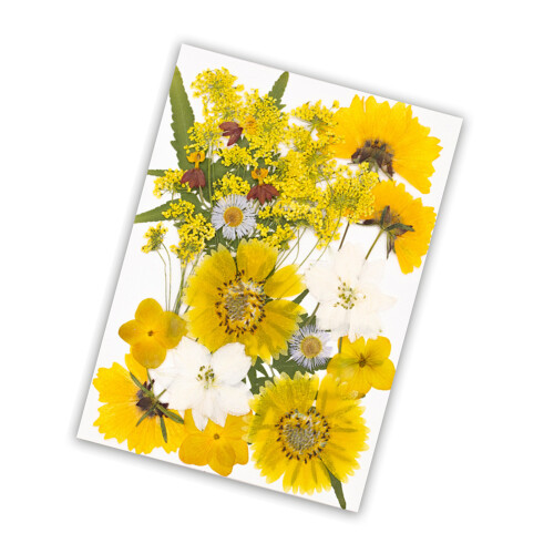 Natural Dried Flower Craft Set User Friendly Homes Decoration-A
