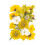 Natural Dried Flower Craft Set User Friendly Homes Decoration-A 7