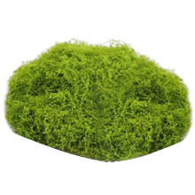 Artificial Decorative Moss for Christmas Terrariums-Light Green