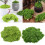 Artificial Decorative Moss for Christmas Terrariums-Light Green 3