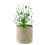Charming Irish Rice Bead Burlap Tree Artificial Plant-A09182 5