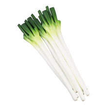Simulation Vegetable Artificial Garlic-Green onions
