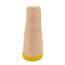 Intradermal Injection Model Teaching Tool Simulating Human-arm