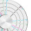 Circular Divider Template Tool Ceramic-  dual  large table 5