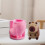 Lovely Animal Baking Molds Castings Molds Capybara Silicone 5