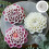 Soft Flexible Silicones Flower Mold  Experts Creating Ornamental 2