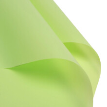 Waterproof Floral Packaging Paper for DIY Enthusiasts-Green