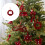 Festival Plastic Christmas Ornament Handcrafted-Butterfly 2