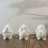 3D Bird Molds Castings Molds Silicone Molds Ornament-W0761 6
