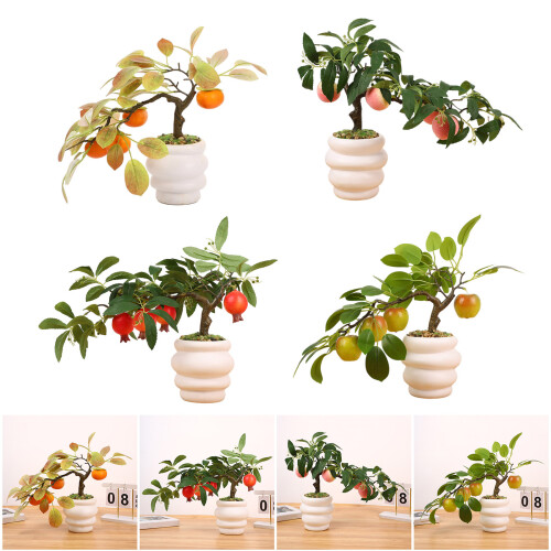 Présentoir de bonsaï d'arbre fruitier en plastique,-grenadier 2