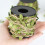 10m Leaves String Burlap Ribbon for Gardening Wedding-Silver 7