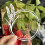 Wheat Wreath Cutting Dies Metal Die Cuts Embossing Templates 6