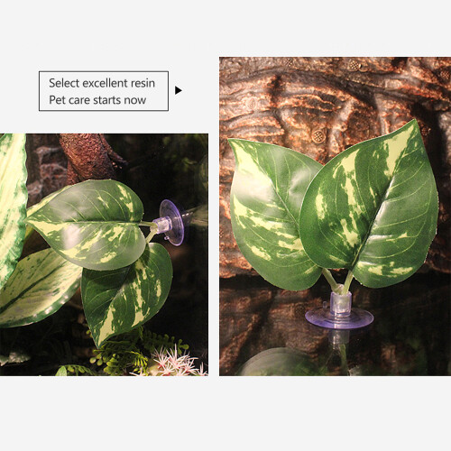 Διακοσμήσεις ενυδρείου, Τεχνητές αιώρες Betta Leaf με βεντούζα για φυσιολατρικούς 2